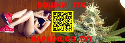 гашик Будённовск