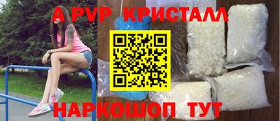 гашик Будённовск
