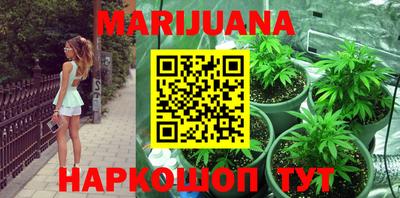 гашик Будённовск