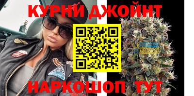 гашик Будённовск