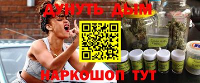 гашик Будённовск
