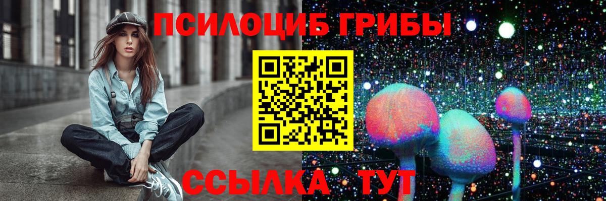Псилоцибиновые грибы Cubensis Псков