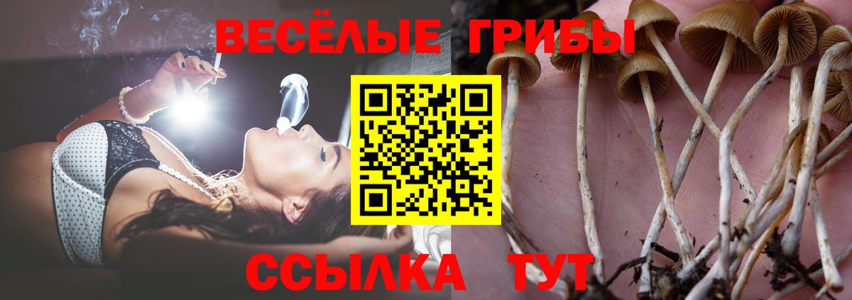 Псилоцибиновые грибы ЛСД  купить наркотики цена  Псков  Вход с VPN 